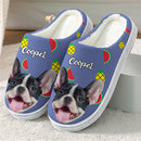 Personalized Custom Photo Dog Cat Plush Slippers TL271001S