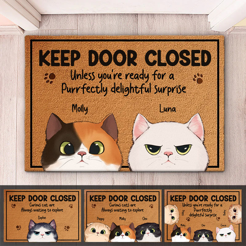 Keep Door Closed Cat Personalized Home Decor Doormat HM090424
