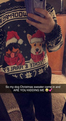 Personalized Merry Woofmas Christmas Sweatshirt HM290902SS