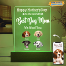 Personalized Custom Photo Face Cutout Happy Mother's Day LED Night Light Acrylic Plaque TL03032301AP