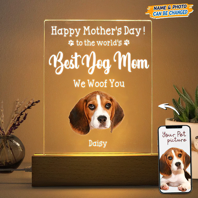 Personalized Custom Photo Face Cutout Happy Mother's Day LED Night Light Acrylic Plaque TL03032301AP