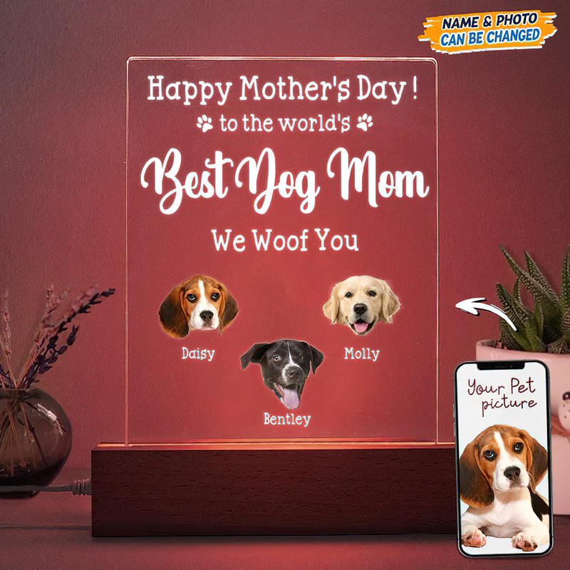 Personalized Custom Photo Face Cutout Happy Mother's Day LED Night Light Acrylic Plaque TL03032301AP
