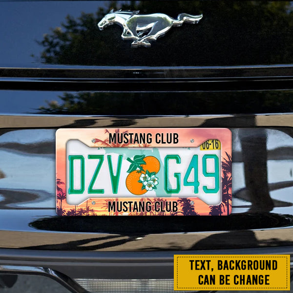 Personalized License Plate Frames For Cars TL090901LPF
