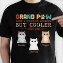 Personalized Grandpaw Like A Regular Grandpa But Cooler Shirt HM301201TS