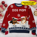 Upload Photo Dog Dad/Mom Winter Christmas Sweatshirt HM051001SS